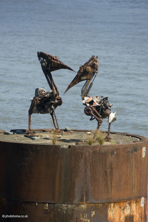 metal sculpture of 2 birds on the brisbane river