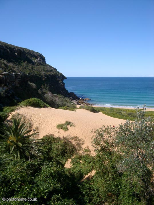 palmbeach2 (113k image)