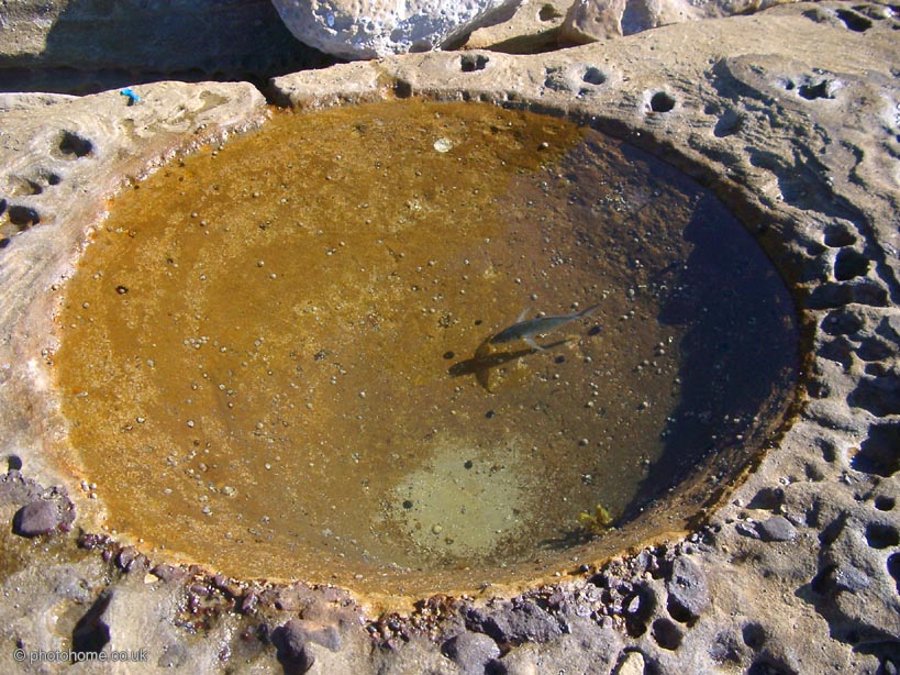 poorfish (180k image)