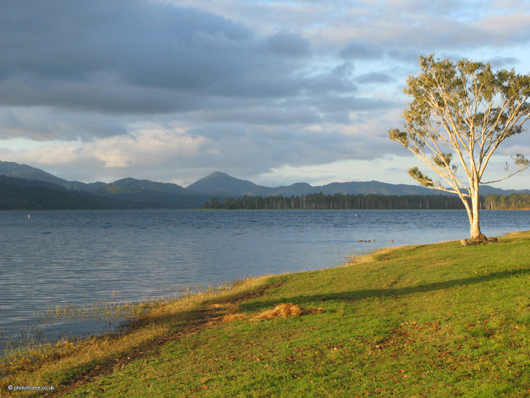 lake tinaroo late afternoon sun on the banks of lake tinaroo